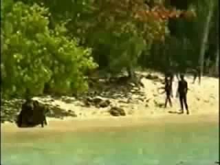 Contact with the Sentinelese people
