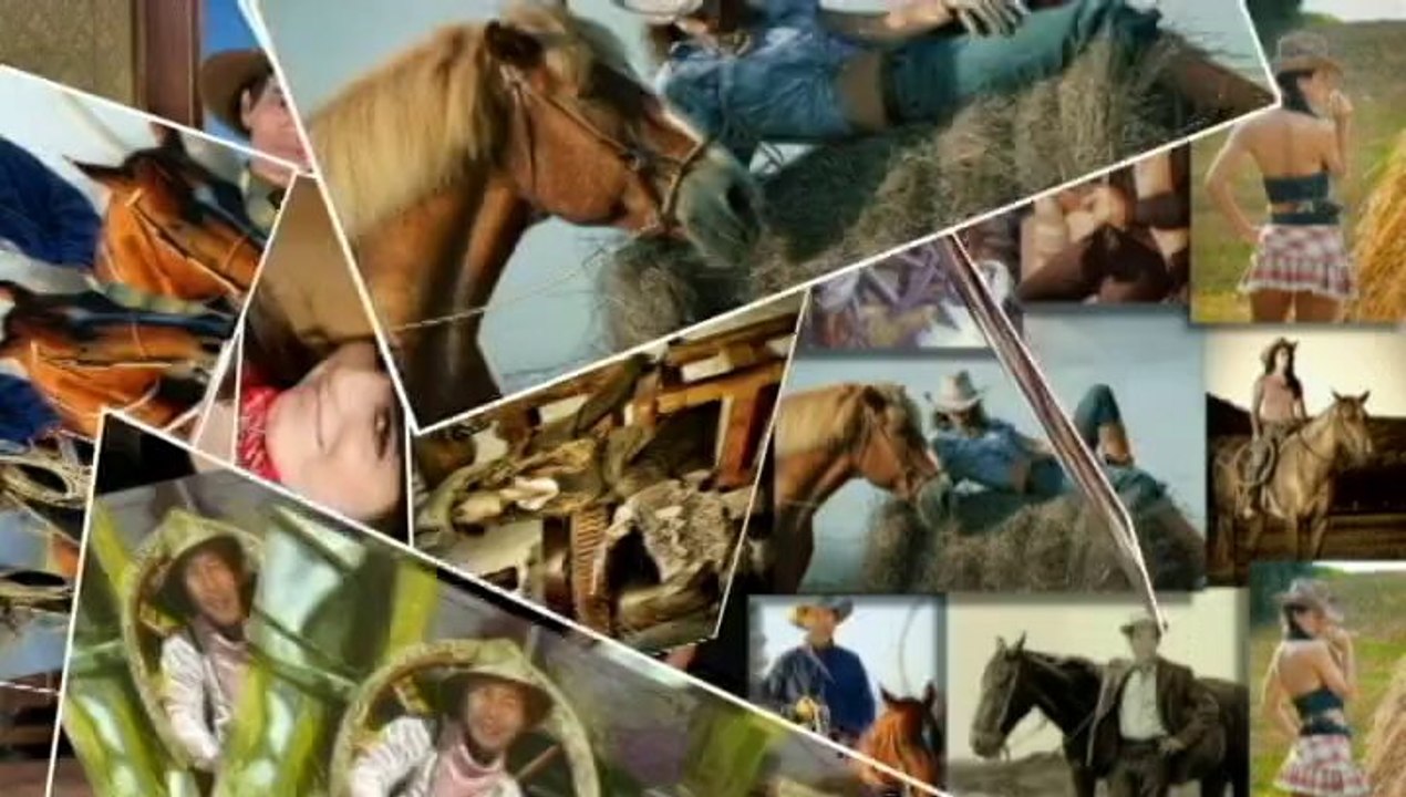 Vết Thù Trên Lưng Ngựa Hoang