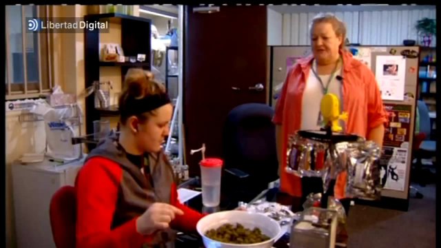 Colorado, primer estado de EEUU que legaliza la marihuana para uso recreativo