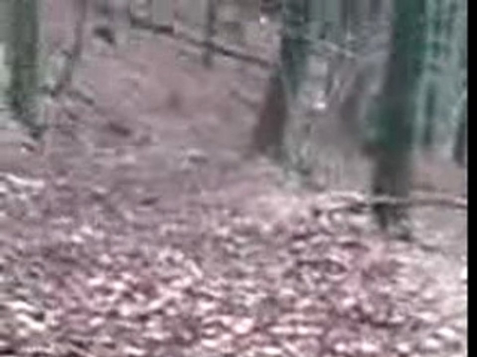 VideoManu
