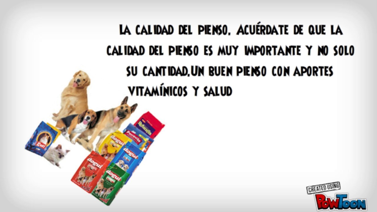 Guia de   vitaminas para perros para mantenerlo fuerte