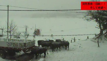 20140209  牧場１号機　雪の牧場ダイジェスト