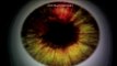 Eye Pilot - The Peripherals Initiative | TIFF Nexus Locative Media Day