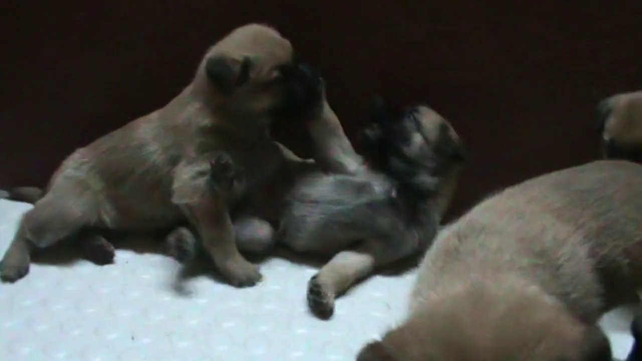 Be Aware G's @ Rumble in the box!