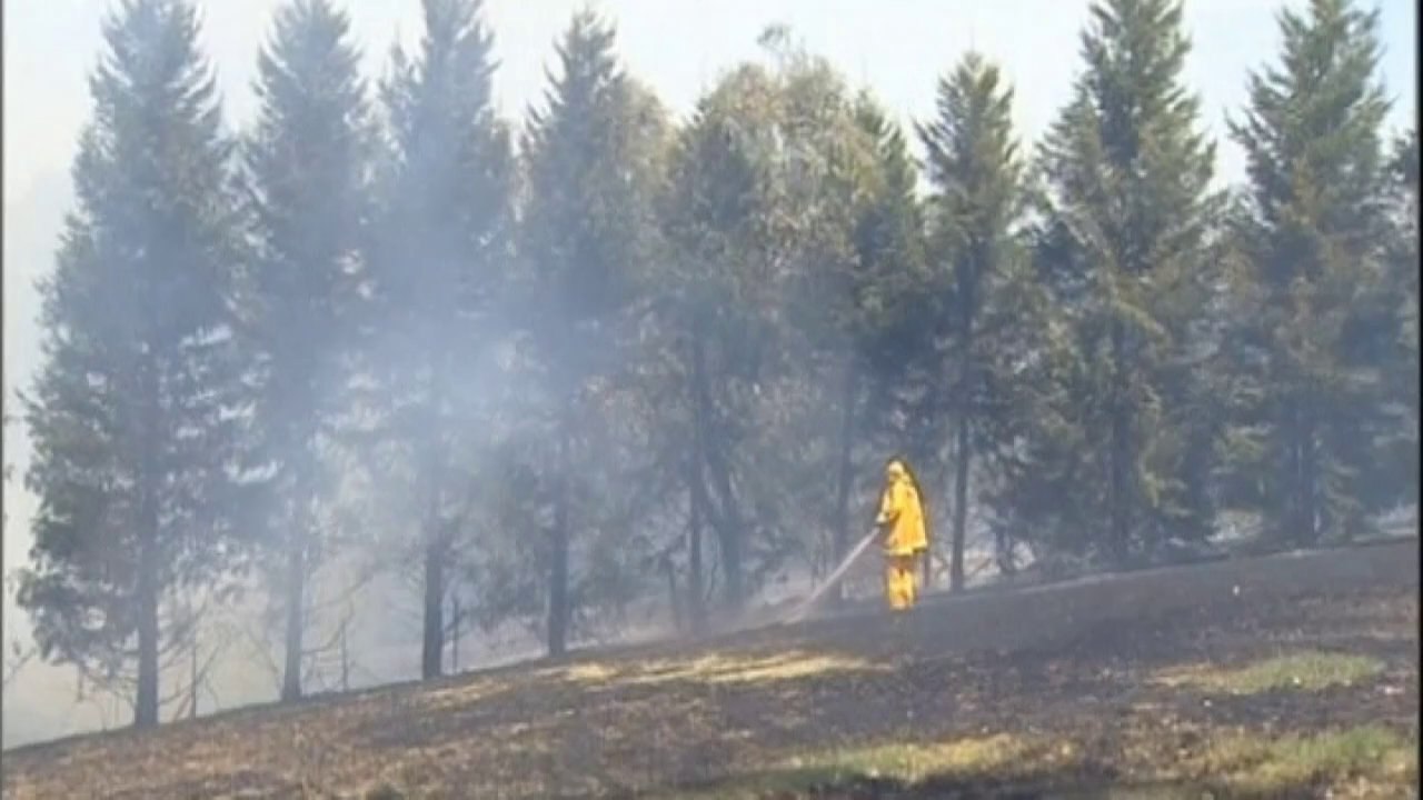 Bushfires destroy hundreds of homes in Australia