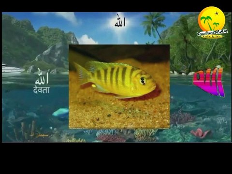 L'un des meilleurs nachide d'Abu Khater- نشيد فرتقى في الخير- أبو خاطر