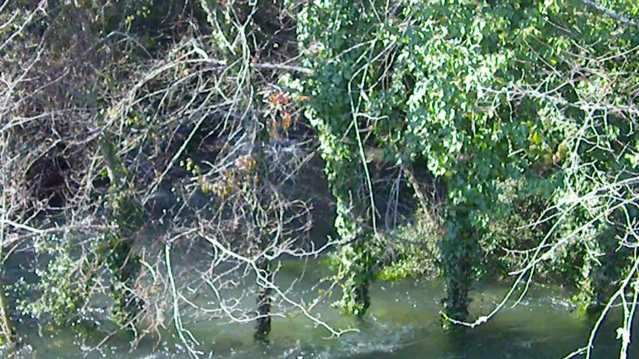 Source de la Meyronne