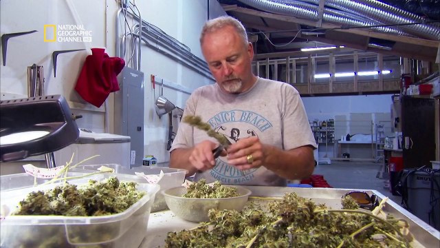 American Weed E03 L'herbe des Rocheuses