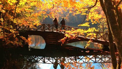 Kerim Tunç - Özlem { Özdemir Asaf }