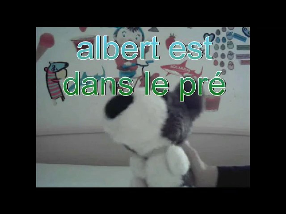 Albert est dans le pré