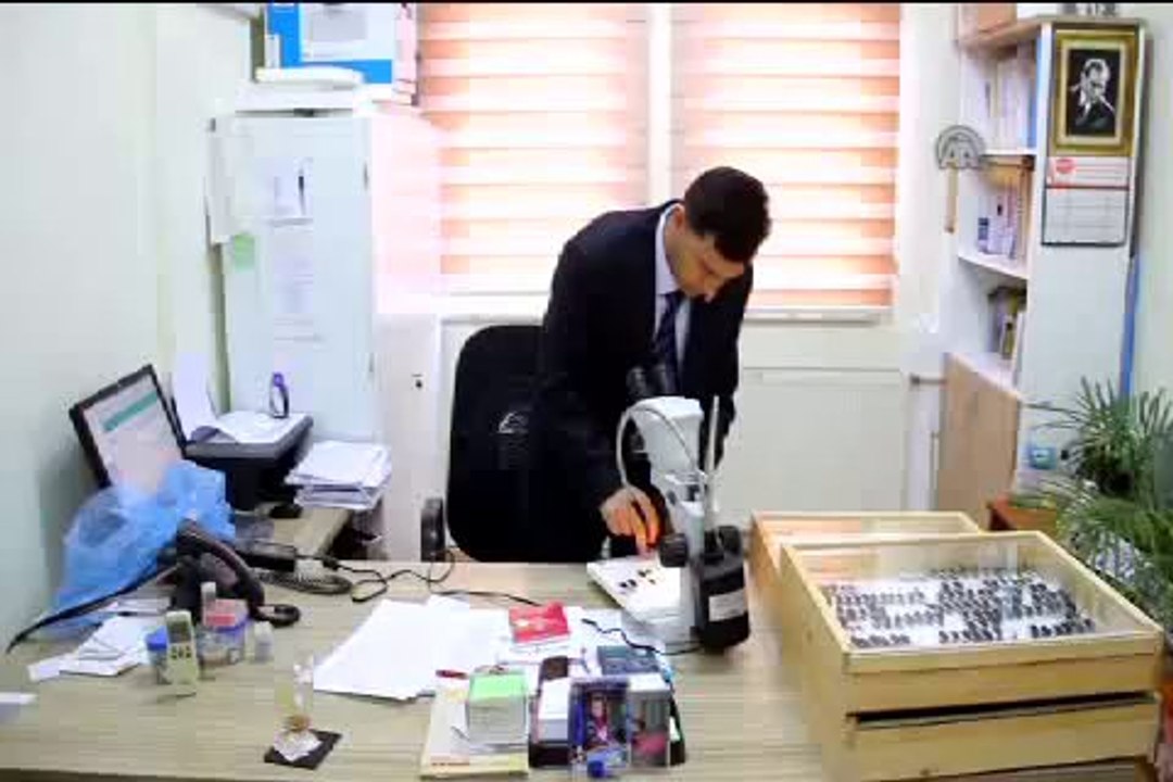 Türk bilim adamı yeni böcek türleri tespit etti