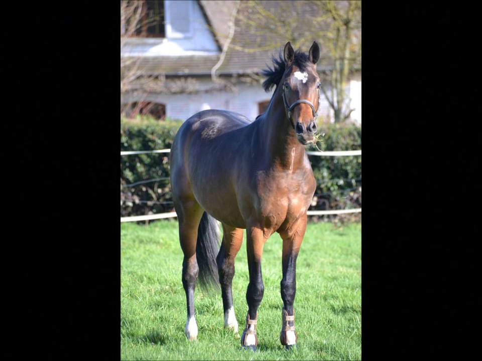 Broadway Concept*Sereld'hel Pub 2014