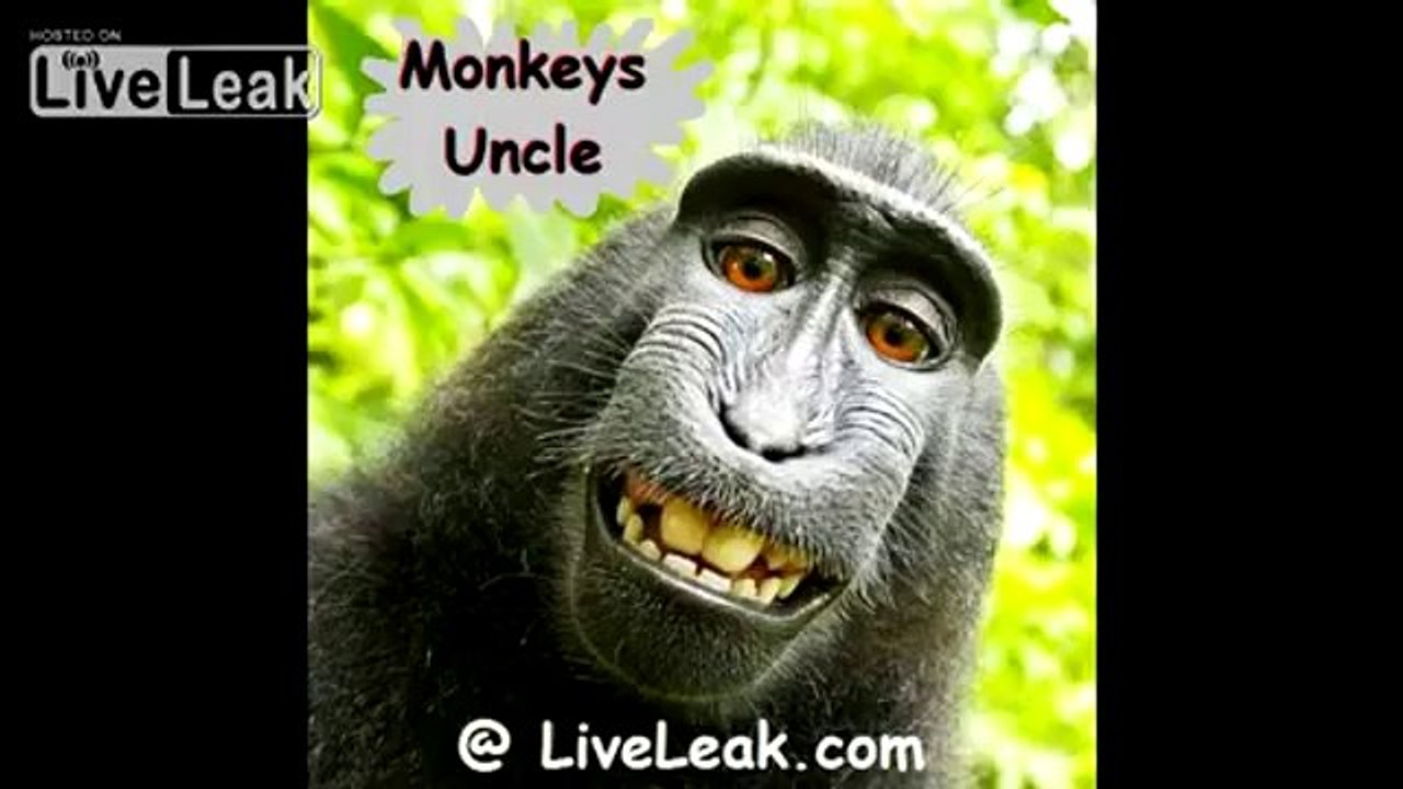 Da bleibt der Katze der Mund offen stehen