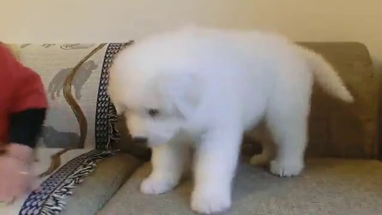 Das süßeste kleine Monster aller Zeiten