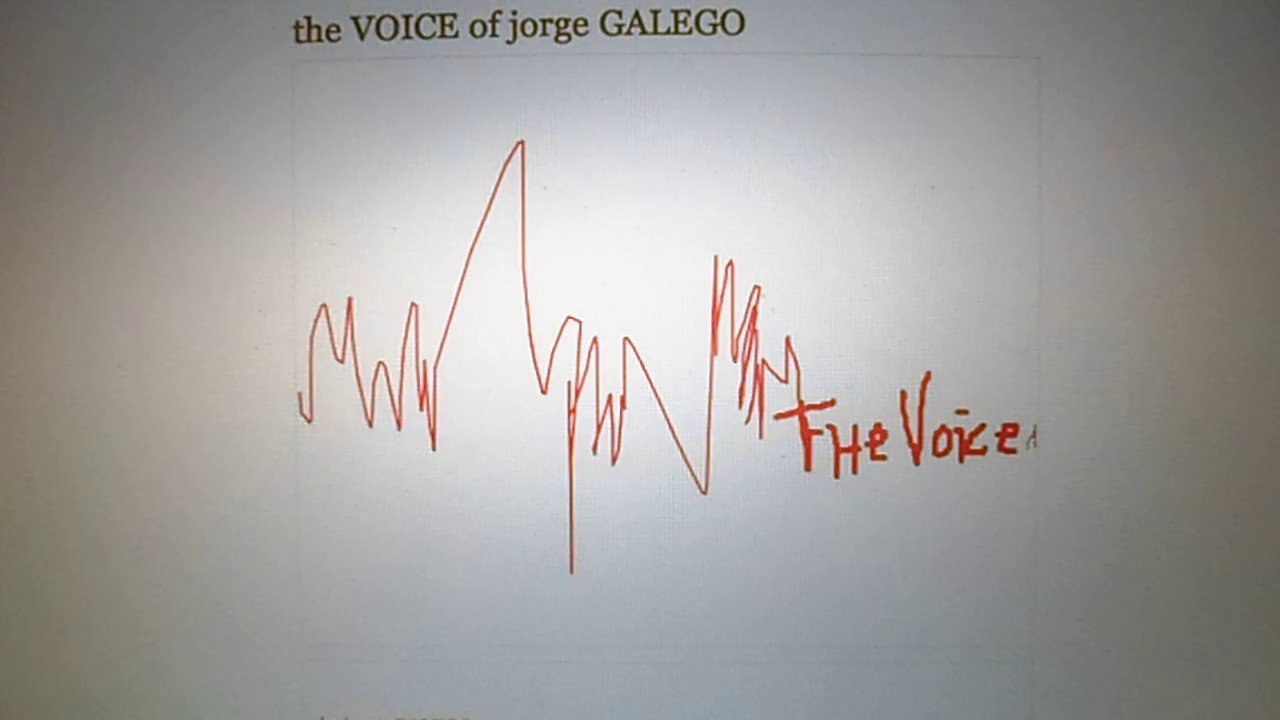 The VOICE...