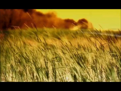 Sunrise and stuff..Ricky Sticky song of Clips This isnt reality