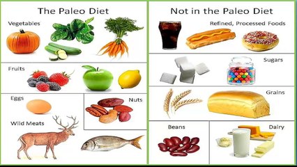 Paleo Foods - Paleo Food List - Paleo Diet Recipes