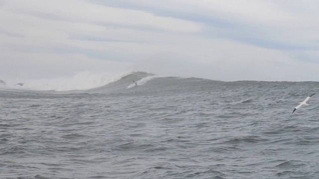 Europe 1 au coeur de la vague géante Belharra