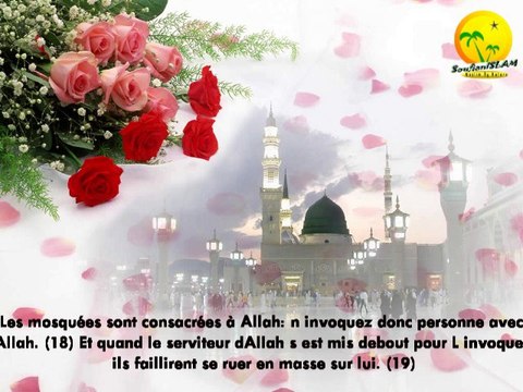 Sourate Al-Jinn (Les Djinns). Shikh Abd Alwali Al Arkani2
