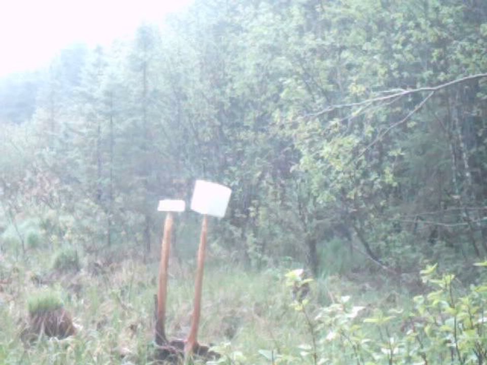 PICT0064