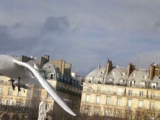 Dans les cris des mouettes