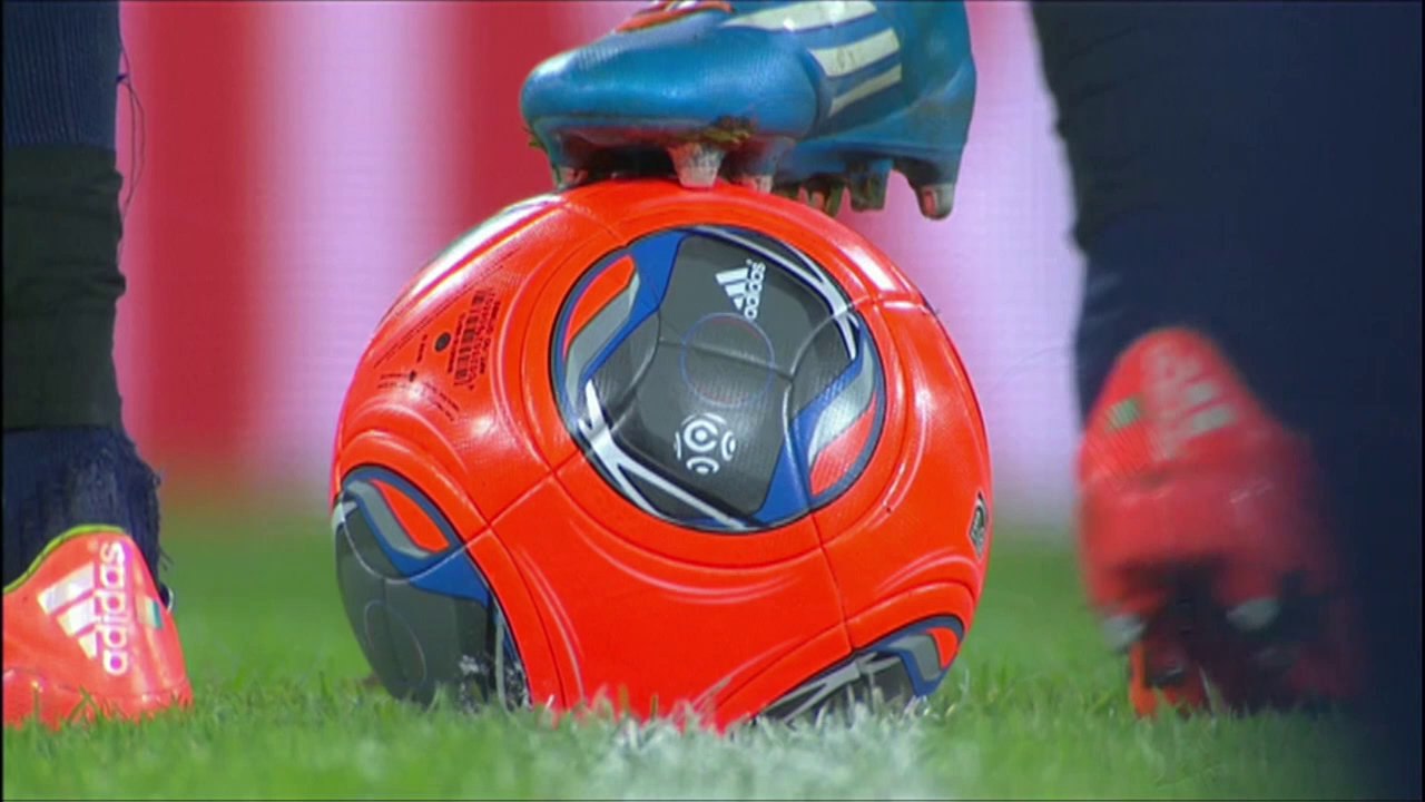 LOSC Lille - FC Sochaux-Montbéliard (2-0) - 08/02/14 - (LOSC-FCSM) -Résumé