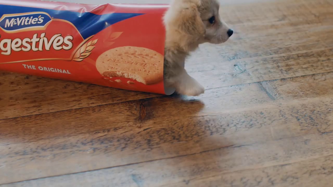 La pub avec le chien le mignon du monde pour Mc Vitie's