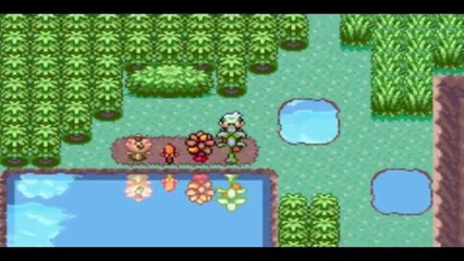 Pokemon Emerald [Livestream] Part 17