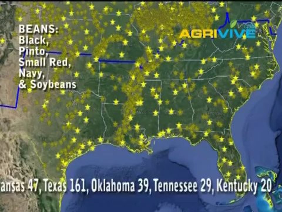 Beans Buyers, Beans Exporters, Beans Exports, Beans, USA Beans, Beans Wholesale, Beans Wholesalers