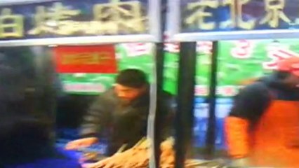 Beijing Food Street, Wang Fu Jing by Asiatravel.com