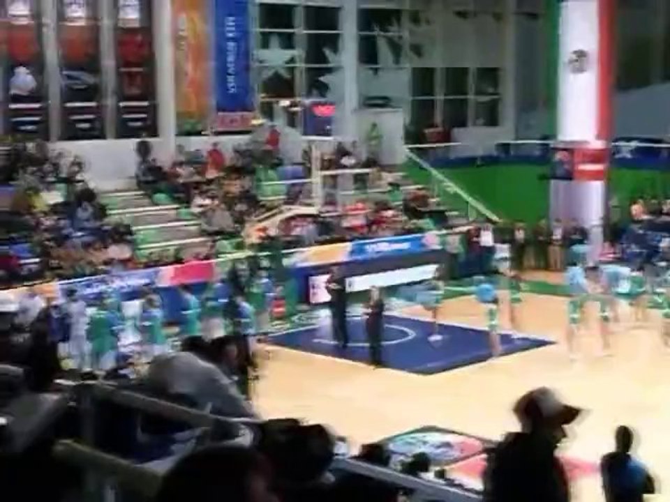 fiba 2014