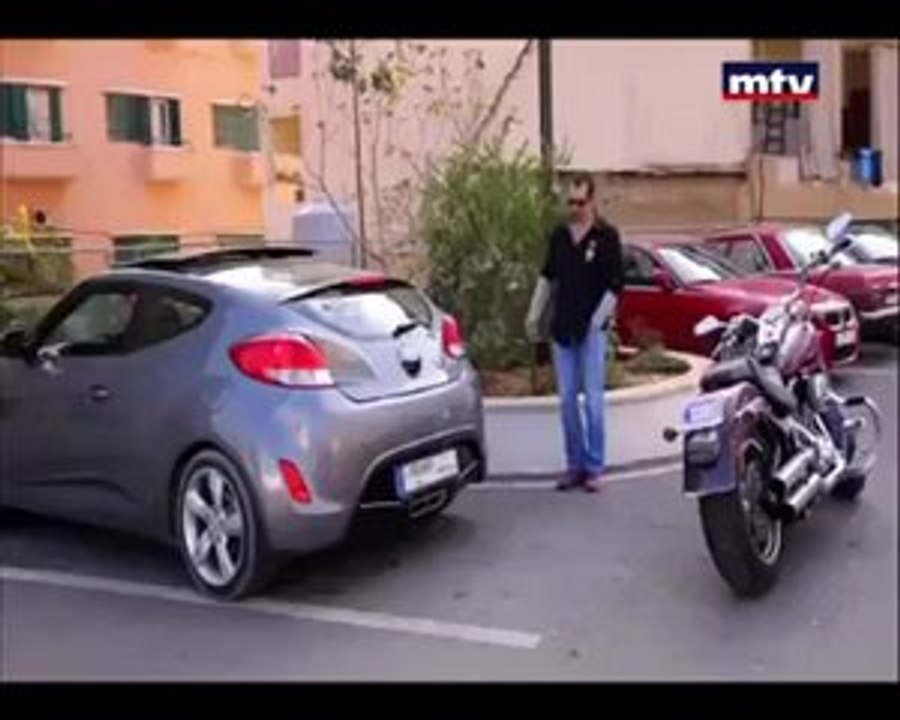 Stupid Guy