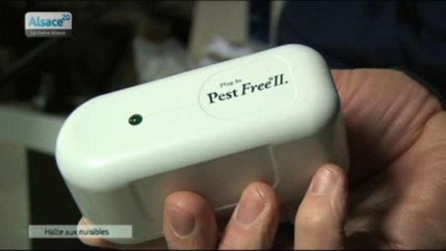 Luttez contre les rats, souris et autres nuisibles