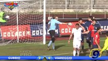 Gubbio - Viareggio 2-0 | Highlights and Goals Lega Pro Prima Div. Gir.B 23^ Giornata