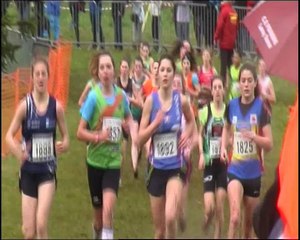 demi finale championnat de france cross country Roullet -st Estephe 2014