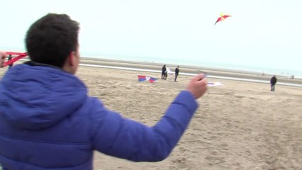 Vue sur Mer 33 - Dunes de Flandre