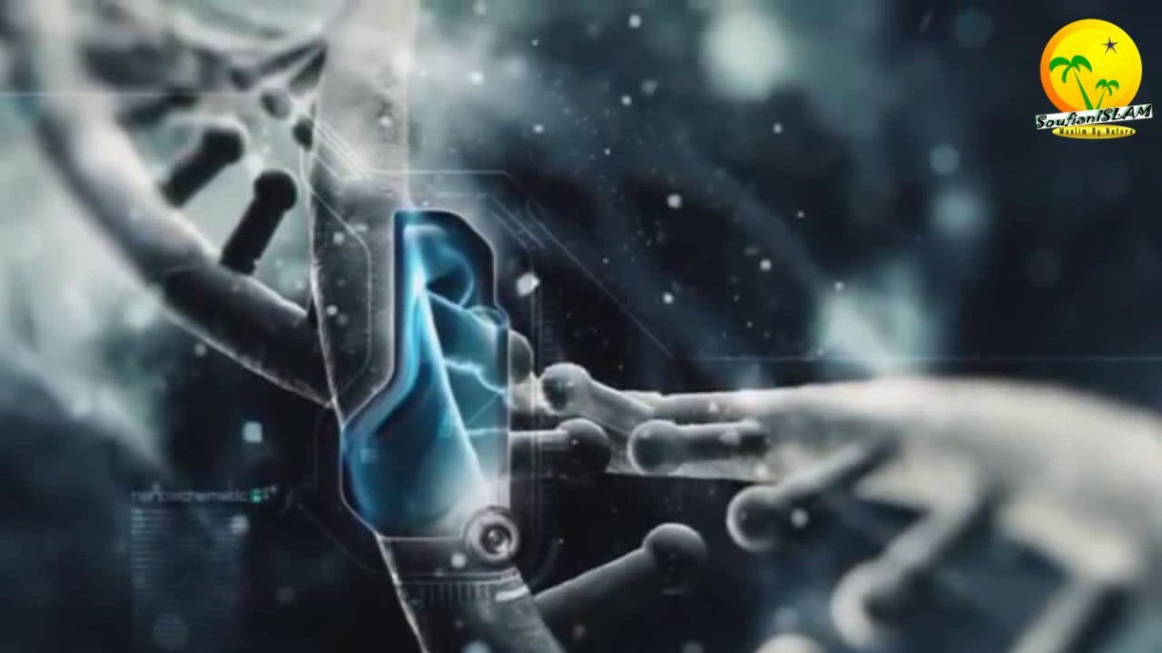 Invitation à méditer profondément sur la création de l'univers et l'existence de Dieu avec citations des scientifiques