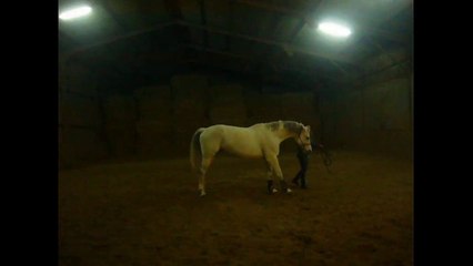 Vendetta - Apprentissage du pas espagnol (épisode 2 ^^)