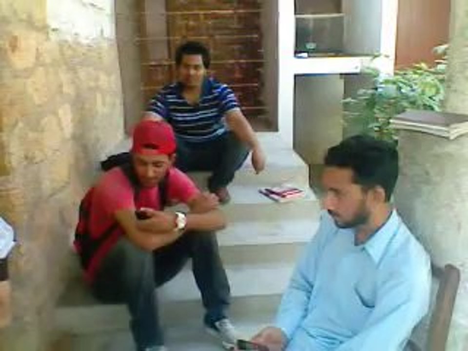 Tiger at Karachi university