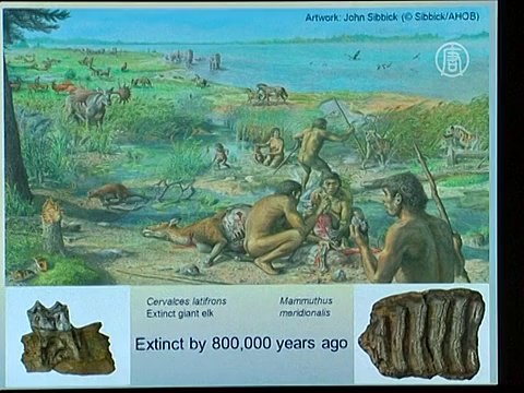 В Британии обитали люди около 1 млн лет назад