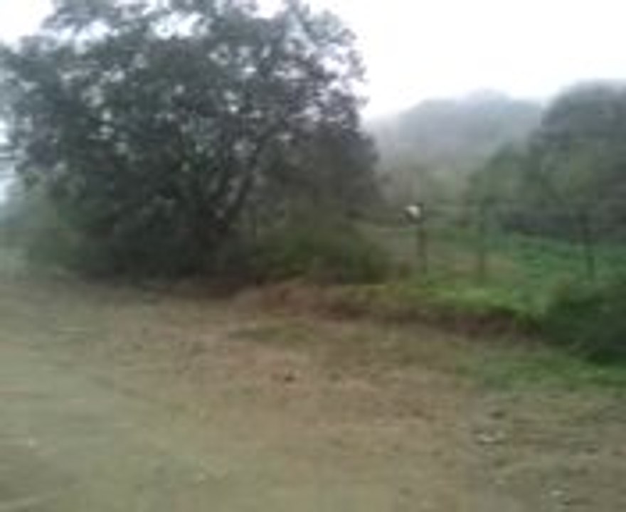 galiana 3