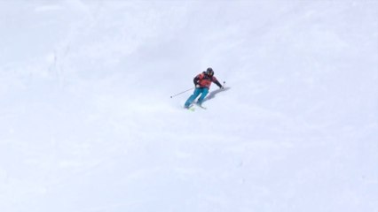 FWT14 - Run of Reine Barkered - Fieberbrunn staged in Kappl/Tirol