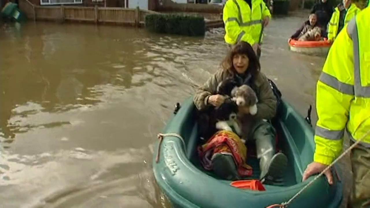 Puppies rescued from flooded Berkshire home