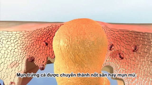 Công ty sản xuất clip quảng cáo giới thiệu sản phẩm