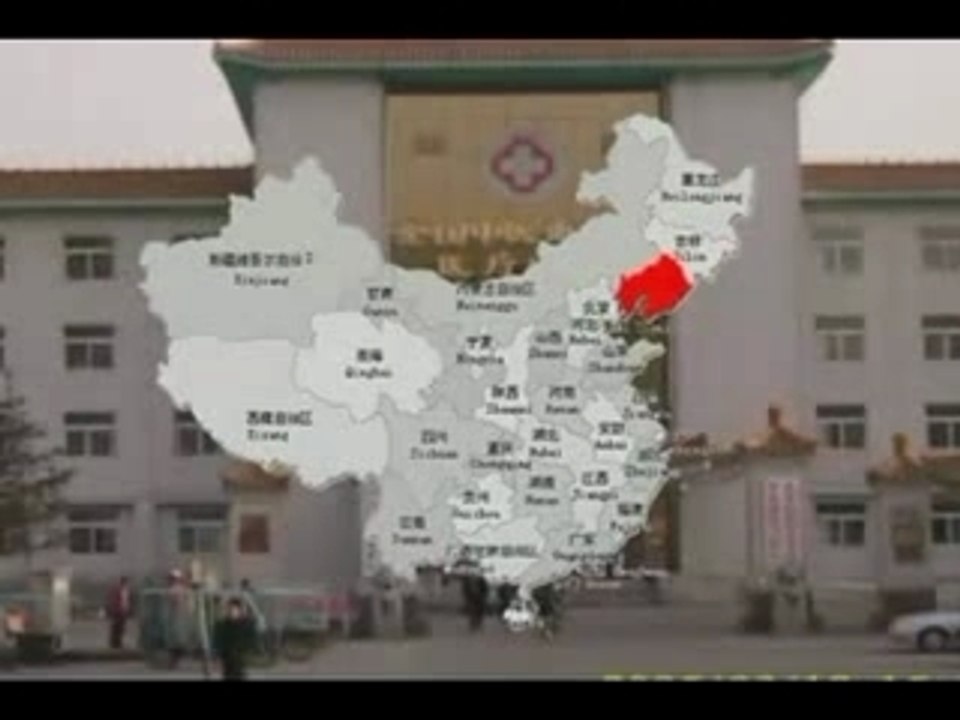 Chinese  Organ Harvesting