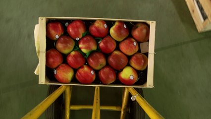 A la découverte de "Mora Frères"