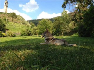 arian primo anno insieme