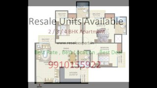 Amrapali Dream Valley Resale Flats - 9910155922 , Noida Extension