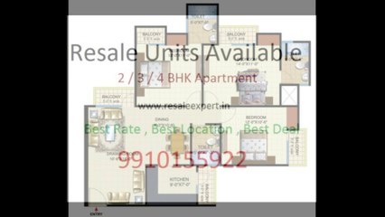 Amrapali Dream Valley Resale Flats - 9910155922 , Noida Extension