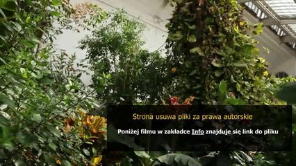 instrukcja do zmywarki electrolux